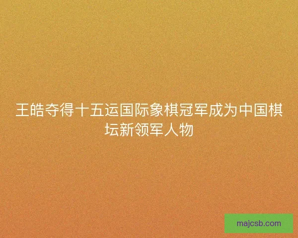 王皓夺得十五运国际象棋冠军成为中国棋坛新领军人物